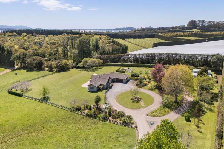 155 Ongare Point Road Katikati_21