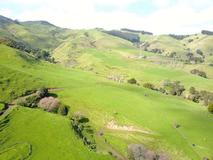 7178 State Highway 26 Paeroa_4