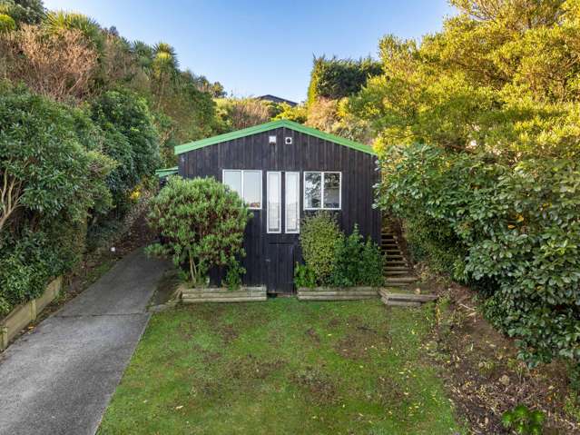 70 Orbell Street Dalmore_2