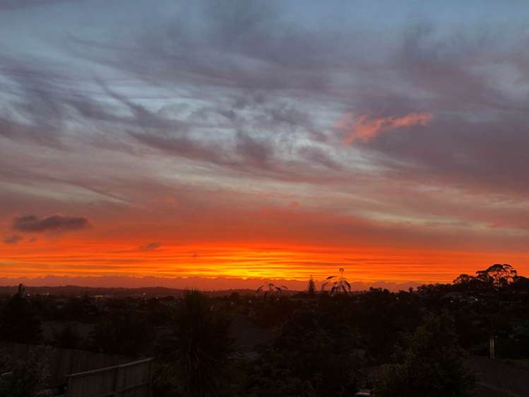 2/18 Kenmure Avenue Forrest Hill_20