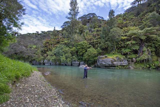 164 Gribbon Road Mahoenui_1