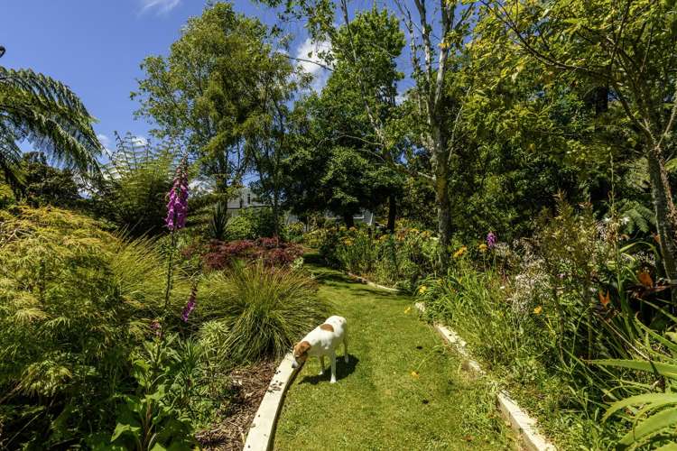 480B Youngson Road Whakamarama_28