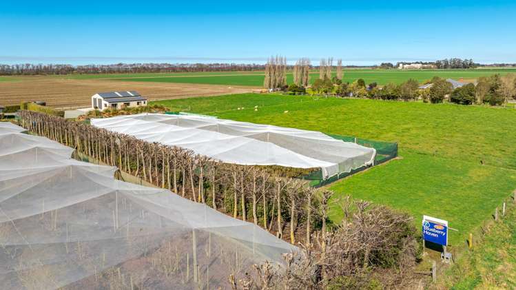 16 Arowhenua Station Road Kerrytown_92