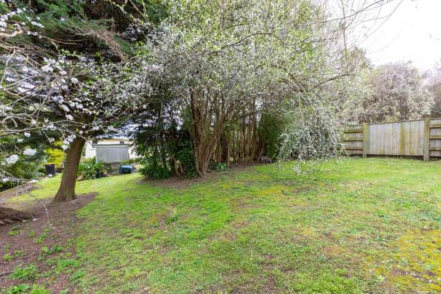 80 Mclean Street Woodville_4