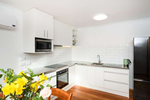 18B Freyberg Street Roslyn_1