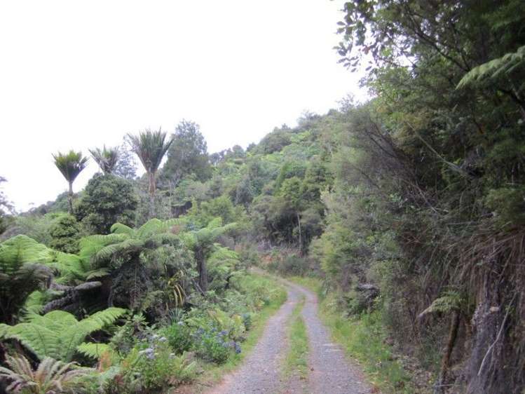 1661b The 309 Road Kaimarama_6