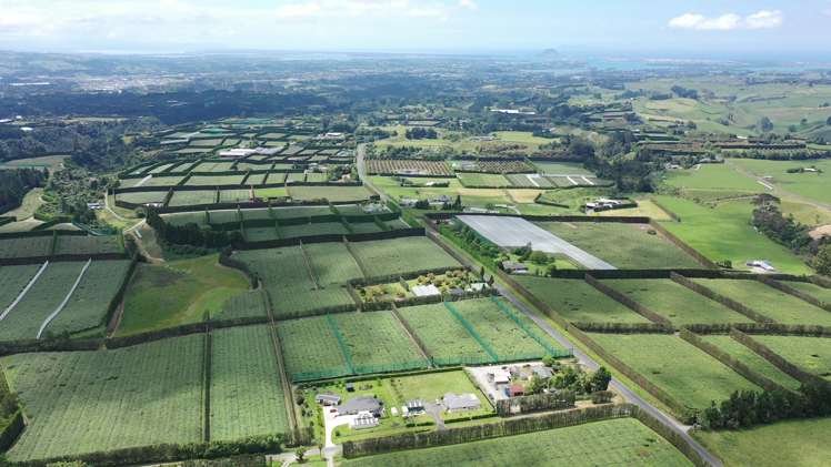 942 Oropi Road Oropi_2