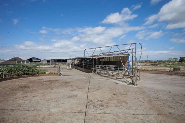 1067 Hauraki Road Paeroa_4