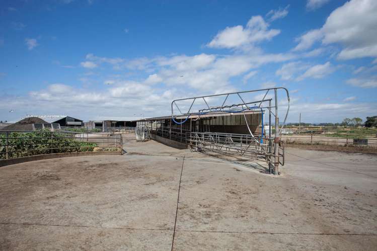 1067 Hauraki Road Paeroa_4