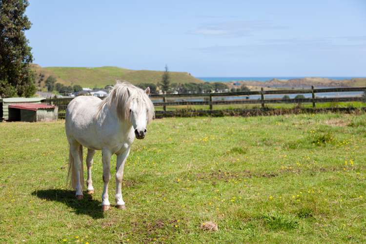 200 Fraser Smith Road Awakino_31