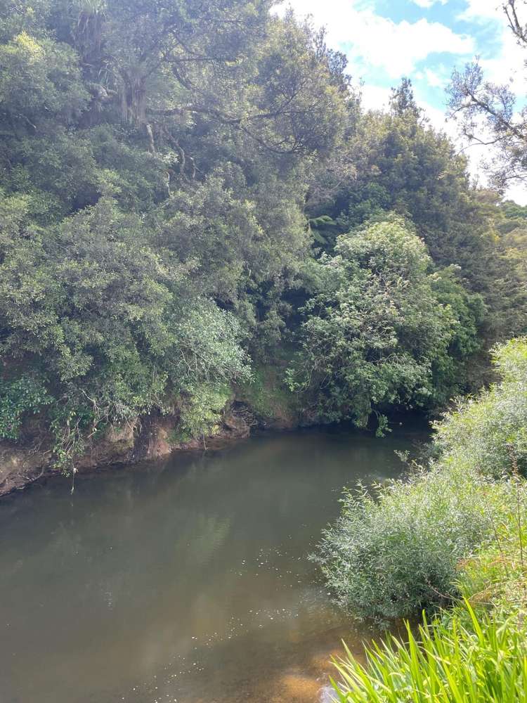 Lot Lots 1, 2 & 4/3054 State Highway 23_3