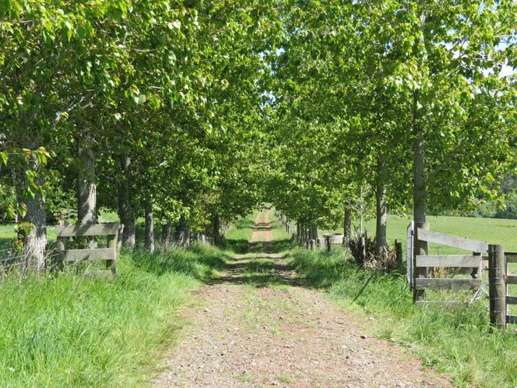 202 Knight Road Ruatangata_4