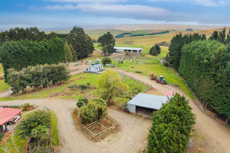 665-901 Tima Burn Road Teviot_16