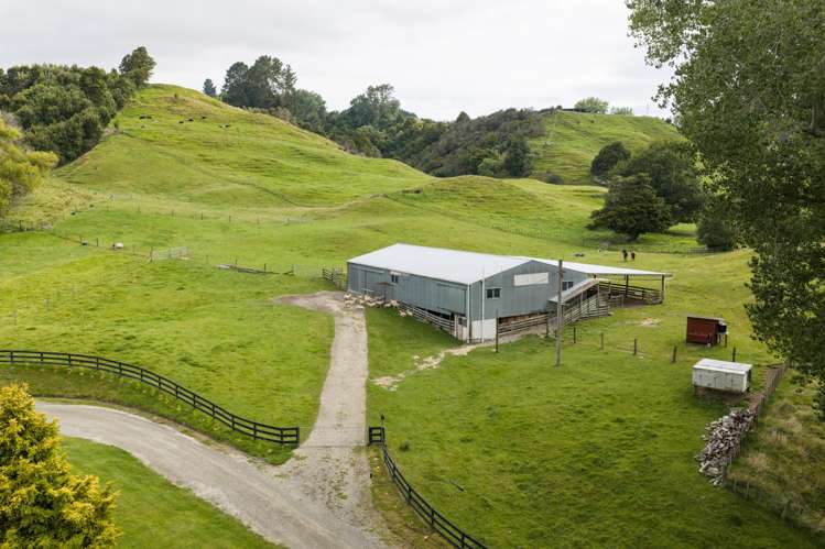 29 Kuku Road Pohangina_32