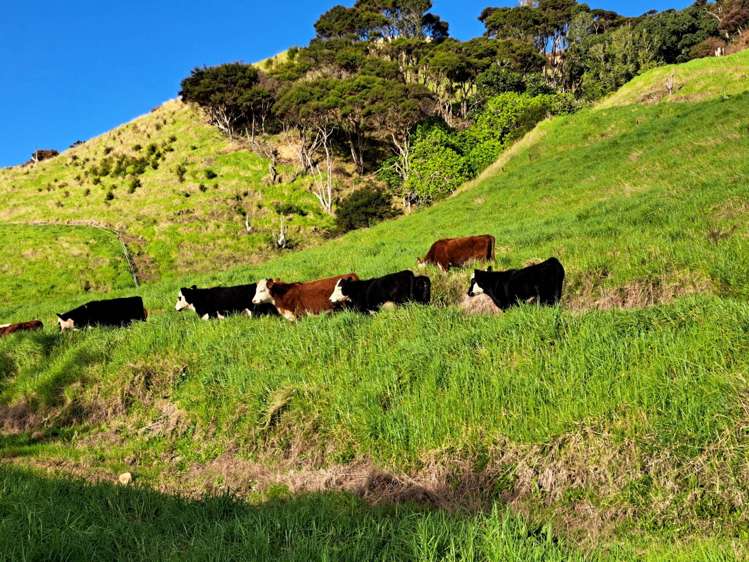 1469 Tuakau Bridge-Port Waikato Road Tuakau_18