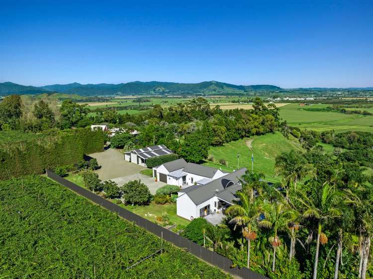 304 Tablelands Road Opotiki_21