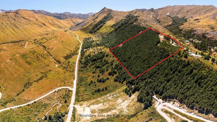 105 Alpine Retreat Road Ben Lomond_5