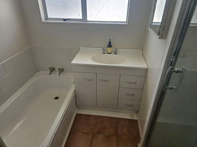 14 Ascot Ave 11601_4