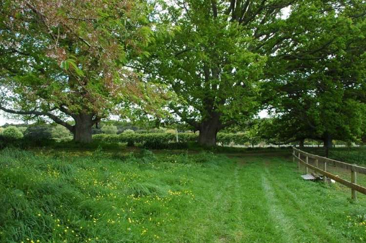 374 Kuranui Road Morrinsville_19