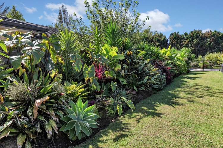 20c Ngunguru Road Glenbervie_5