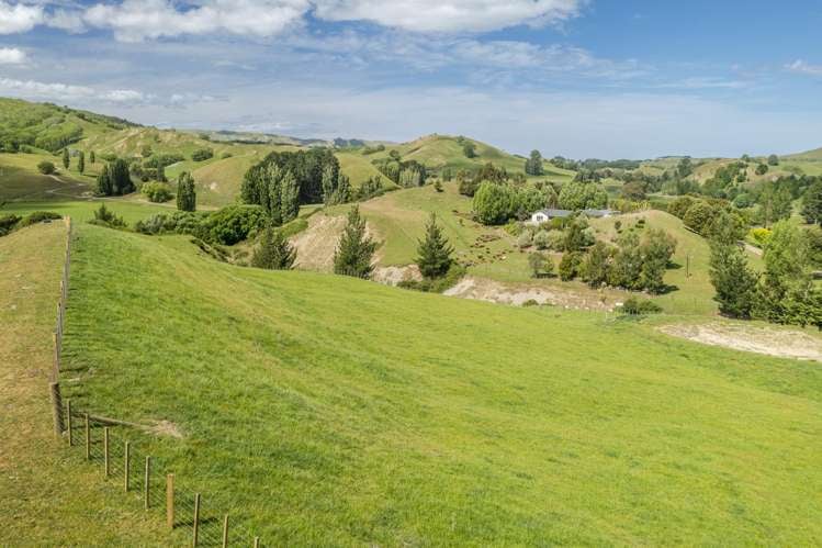 Lot 3,/253 Kairakau Road Elsthorpe_5