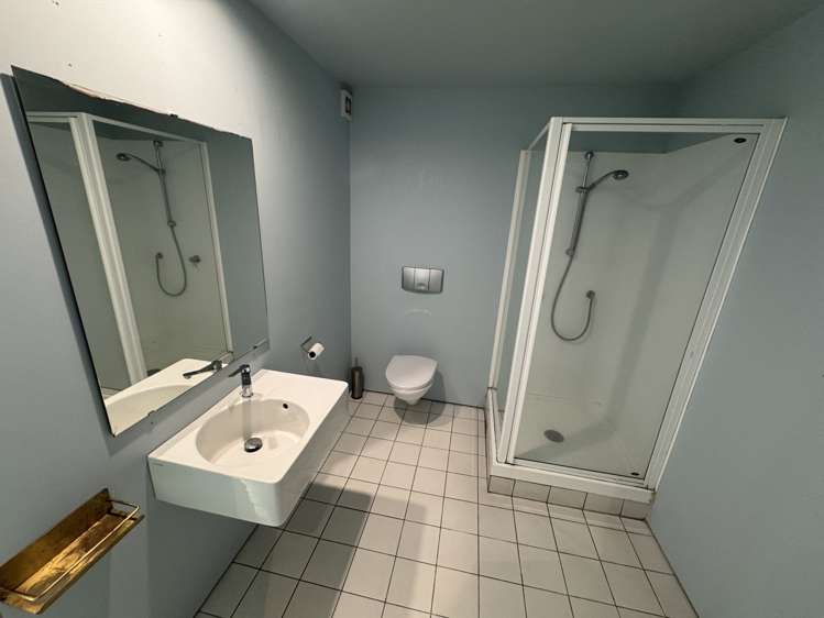 62 Randolph Street Eden Terrace_7