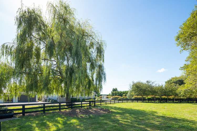 309a Hautapu Road Tamahere_5