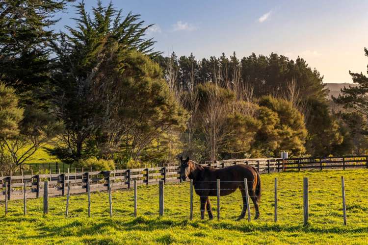 93 Nixon Road Taupaki_8