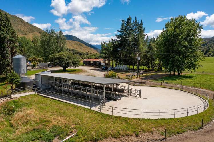 1153 Shenandoah Highway Murchison_4