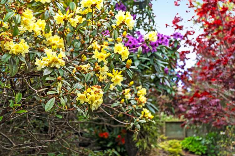 Lot 1,118B Wairau Road Oakura_25