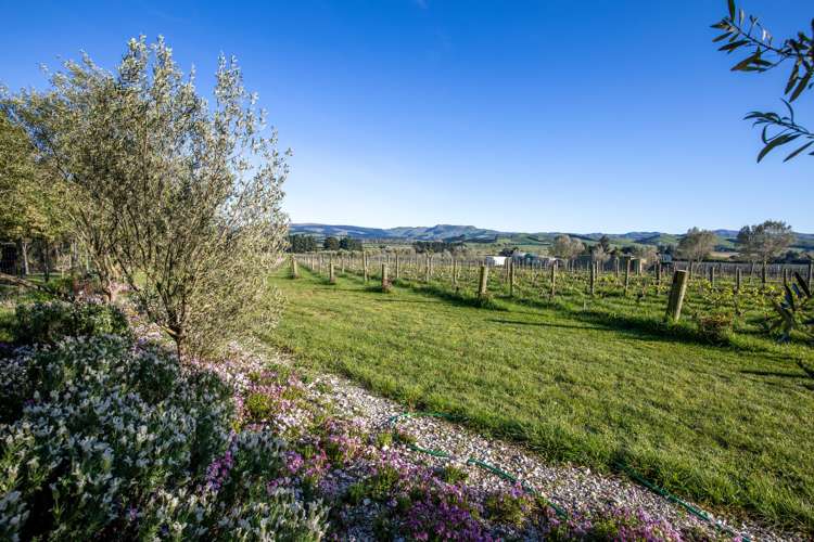 478p Omihi Road Waipara_5