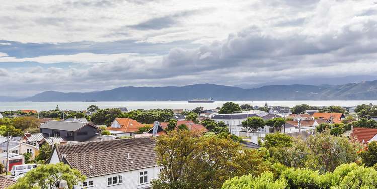 59 Falkirk Avenue Seatoun_19