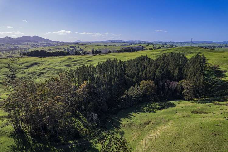 Cnr Milne and Aponga Stream Road Purua_16