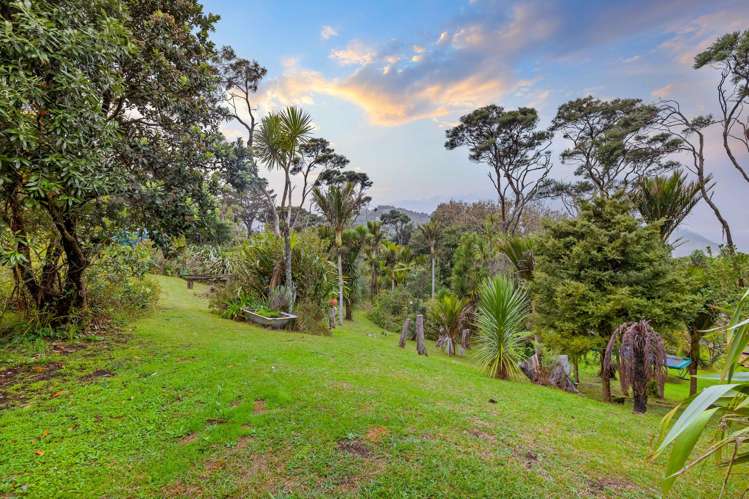 18 Tasman View Road Bethells Beach_28