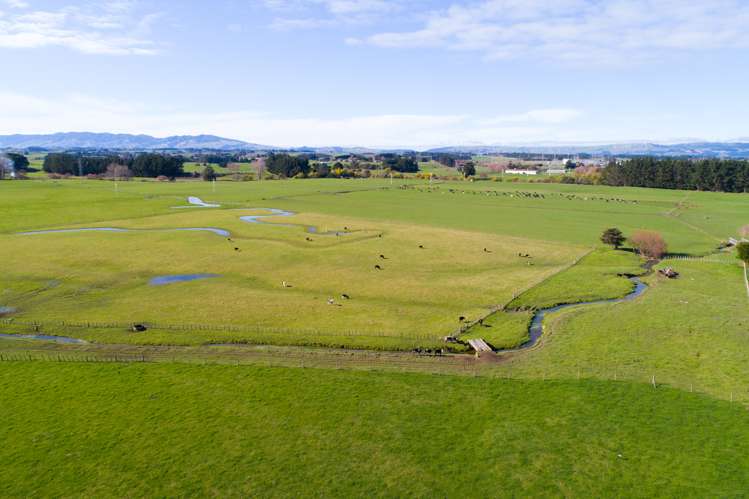 50 Nannestads Line Bunnythorpe_11