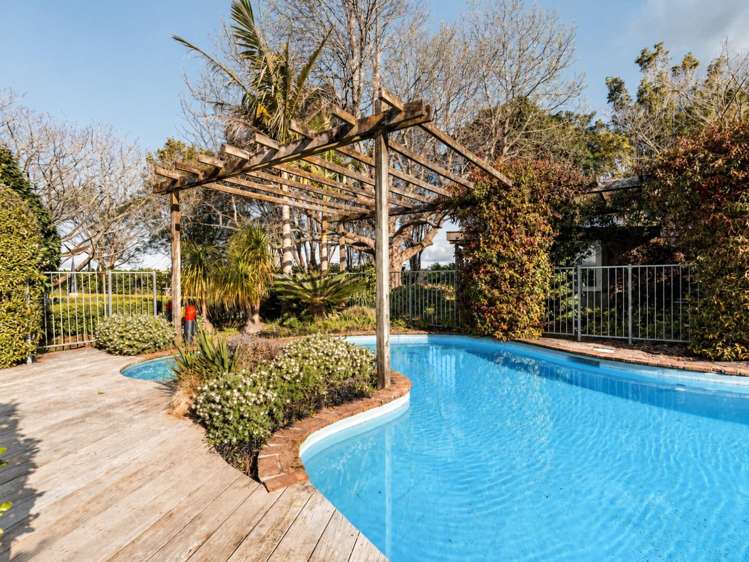 439A Wainui South Road Whakamarama_27