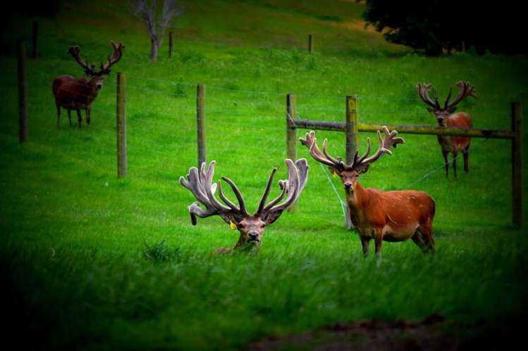 273 Ashley Gorge Road Oxford_13