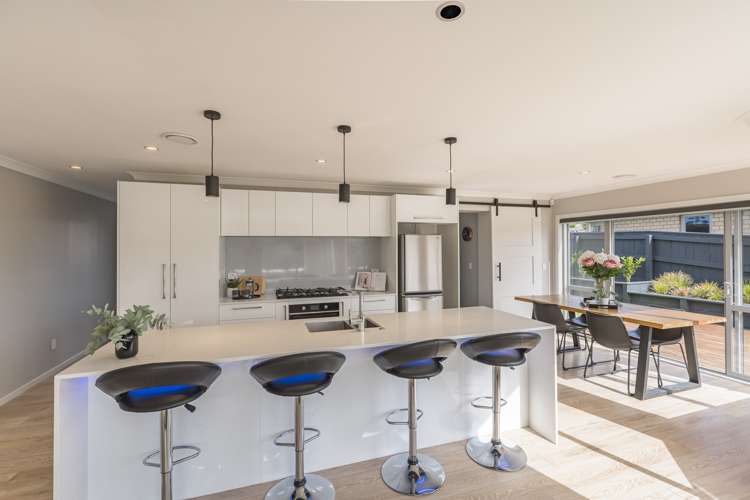 9 Catlins Glen Aotea_6