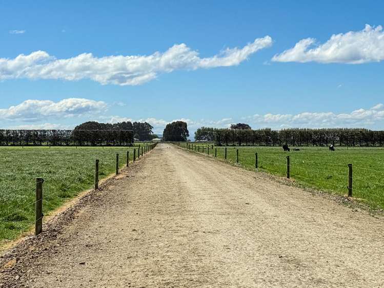 296 Oporo Flat Road Oporo_2