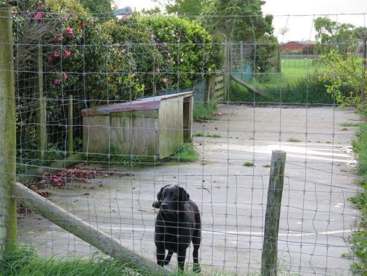 39 Brandon Hall Road Bulls_25