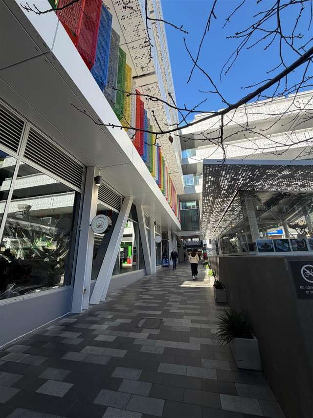 BNZ Centre 109 Cashel Street Christchurch Central_4