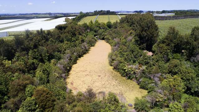 471b Old Coach Road Paengaroa_4