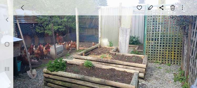 9 Tawa Place Tapawera_8