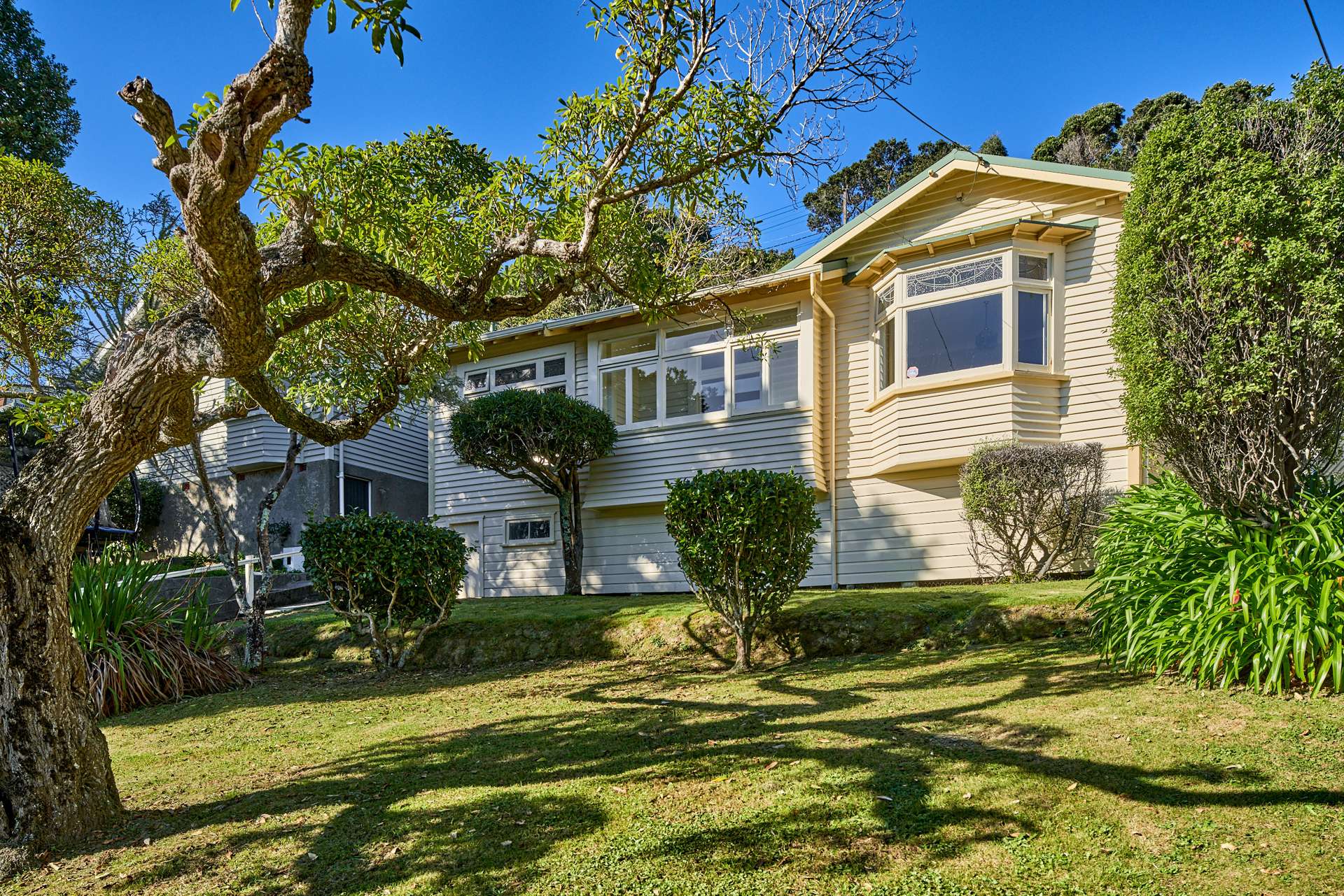 31 Rose Street Wadestown_0