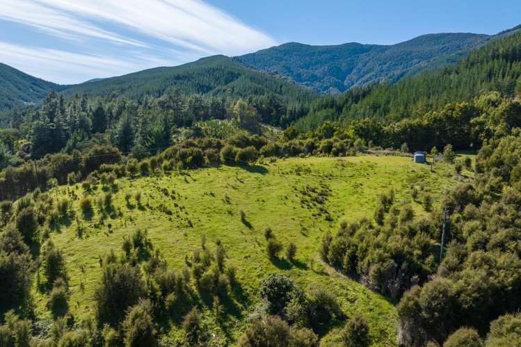 1025 Wakamarina Road Havelock_16