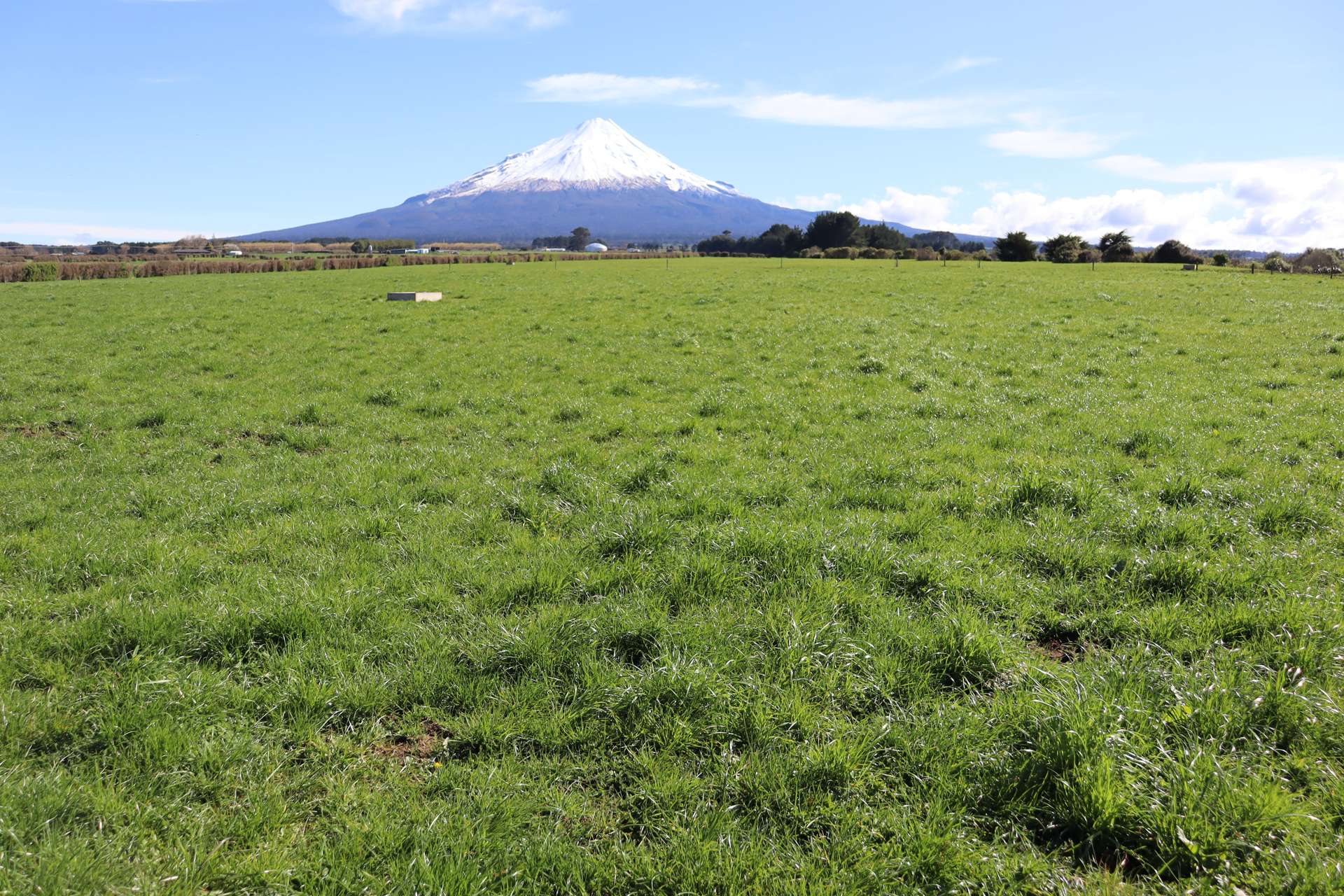 1430 Eltham Road Kaponga_0