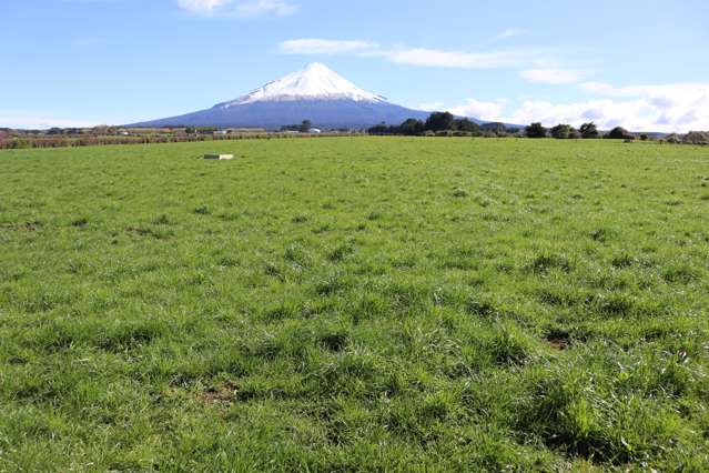 400 COW KAPONGA DAIRY FARM