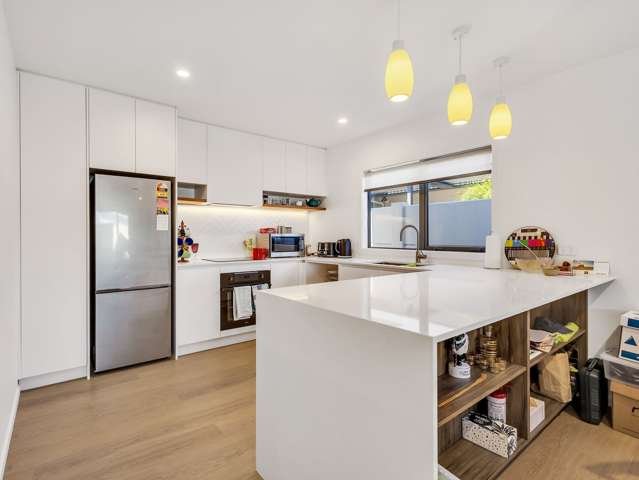 102C Auckland Road Greenmeadows_3