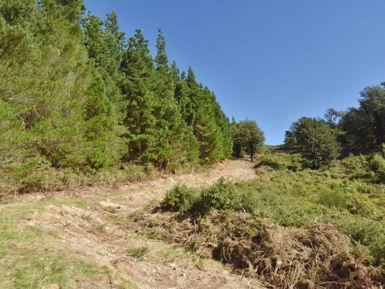 446 Glentui Bush Road Glentui_30