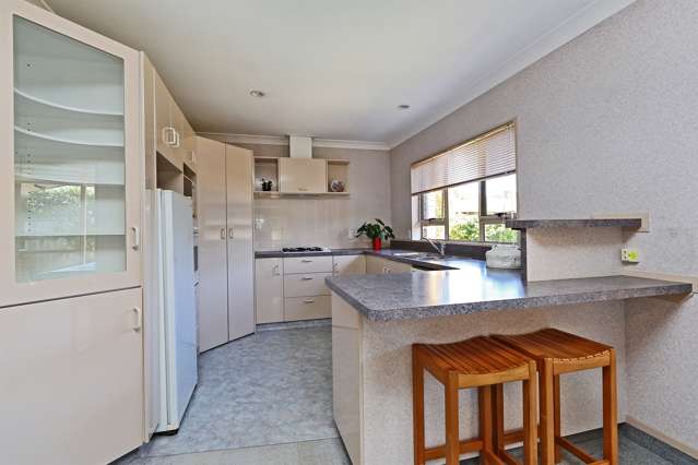 168 Auckland Road Greenmeadows_3